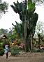 0444 Doi Tung - woning moeder Bhumipol